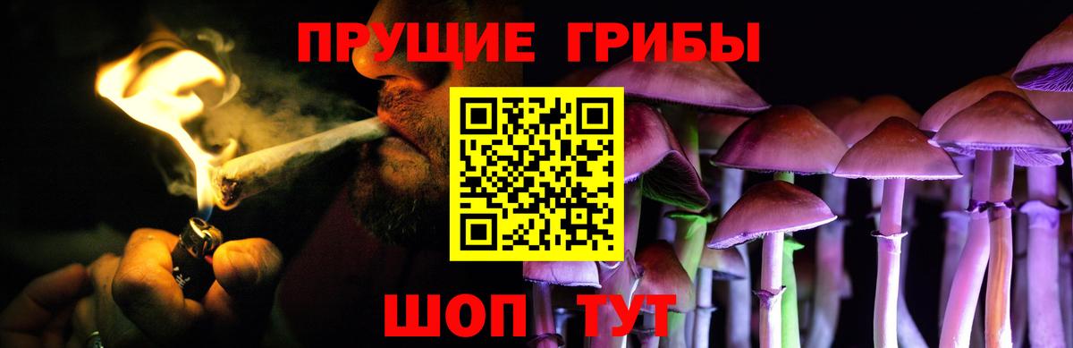 Галлюциногенные грибы Psilocybe Рязань