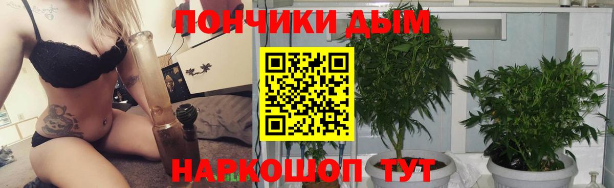 Канабис OG Kush Рязань